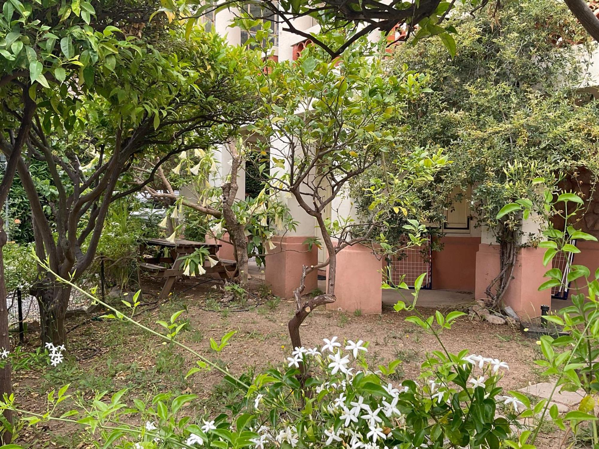 Villa La Provence Hyères Екстериор снимка