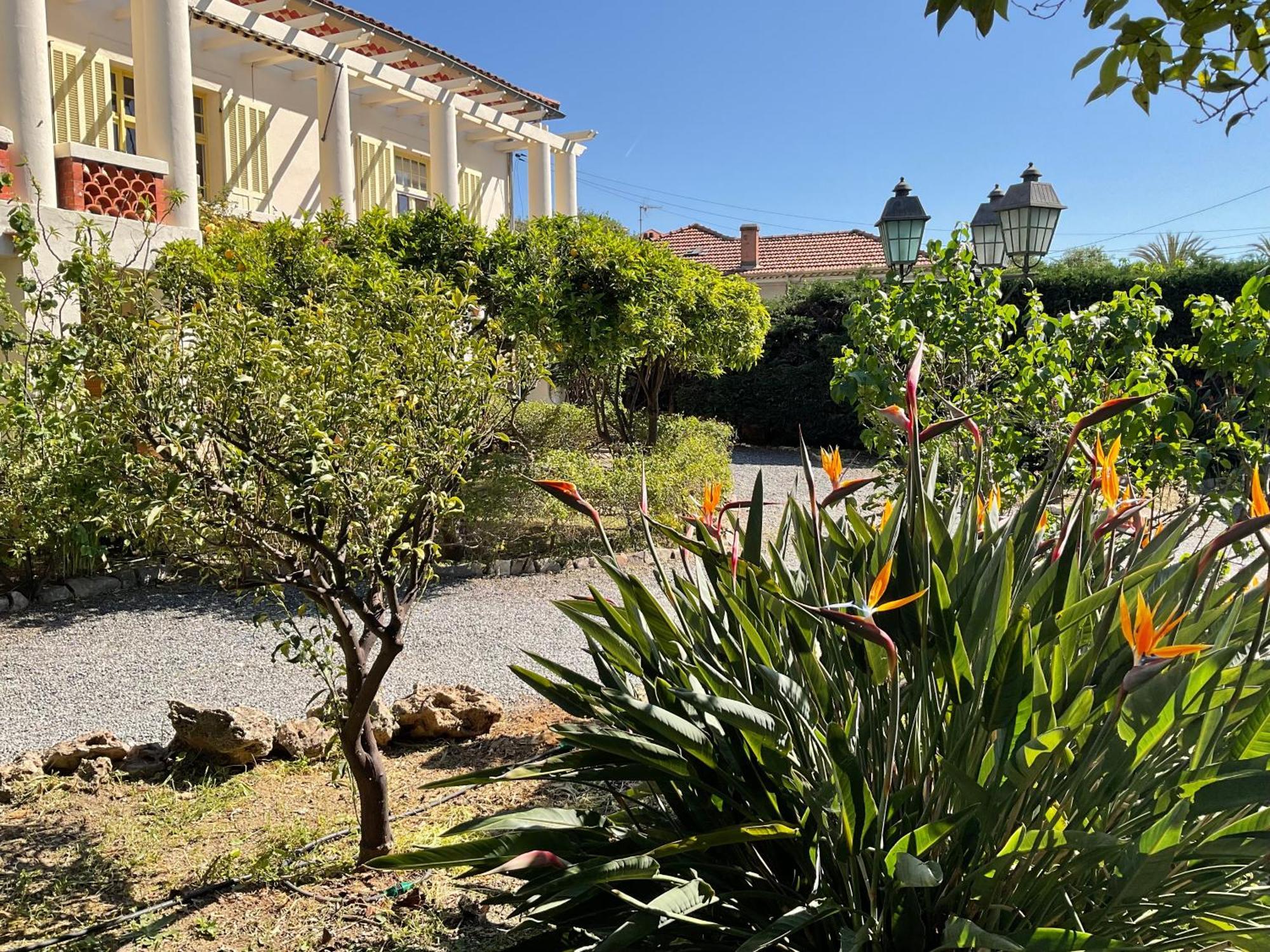 Villa La Provence Hyères Екстериор снимка