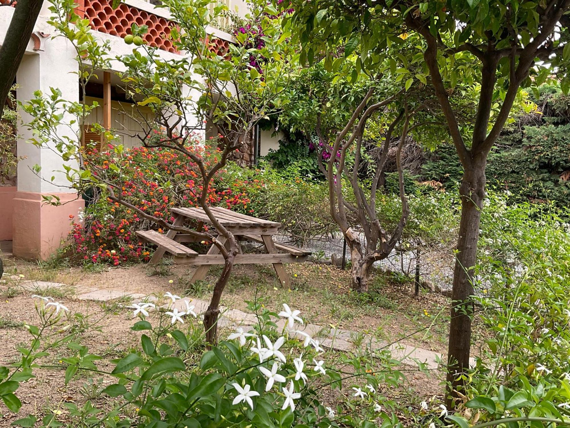 Villa La Provence Hyères Екстериор снимка