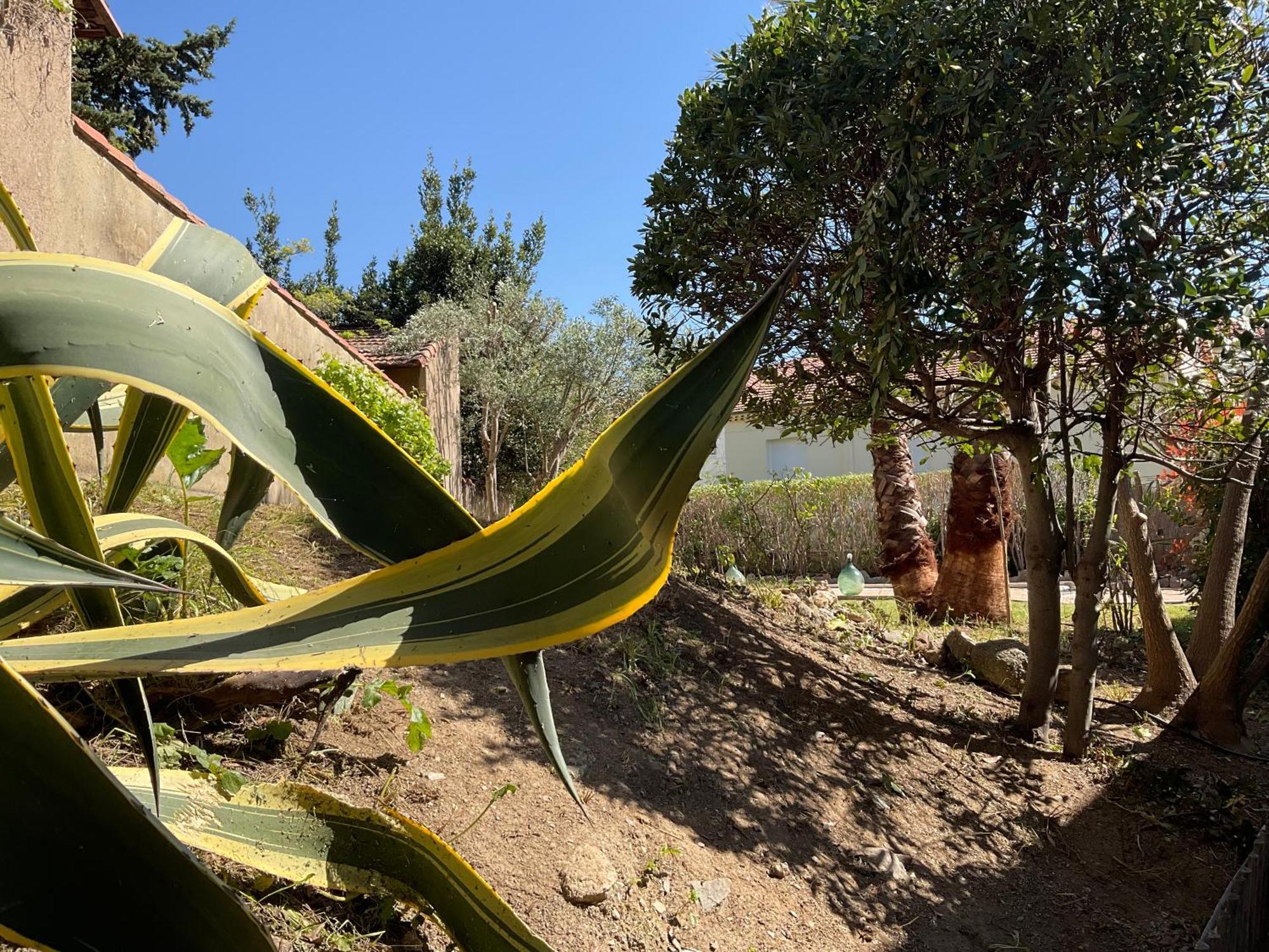 Villa La Provence Hyères Екстериор снимка