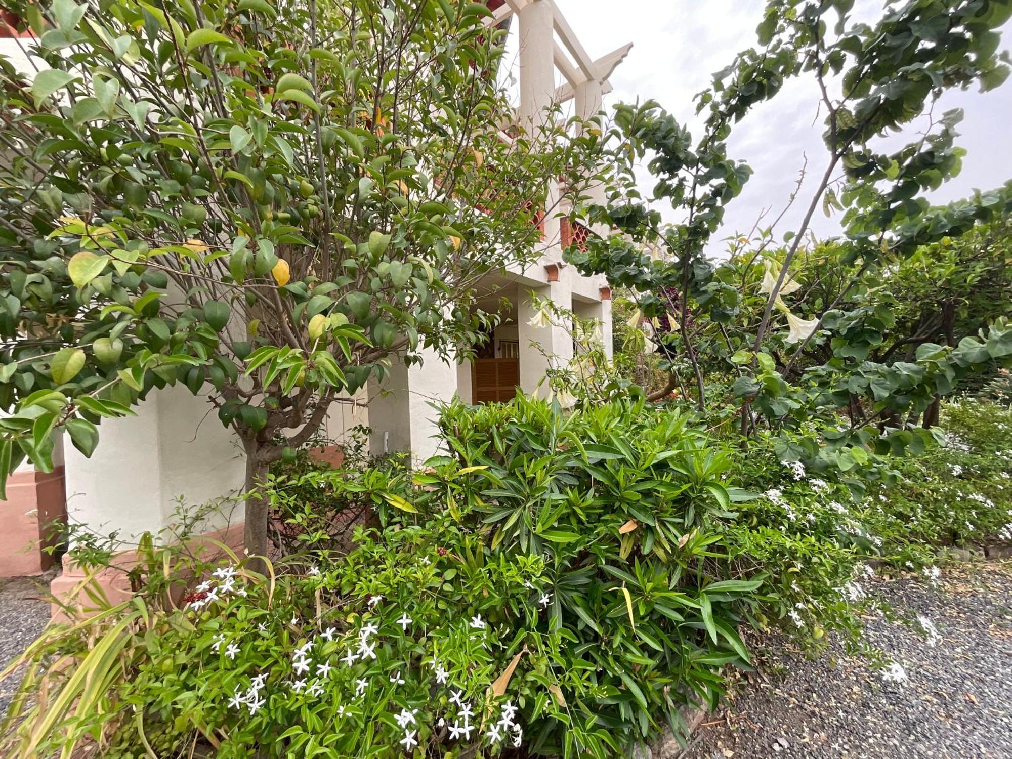 Villa La Provence Hyères Екстериор снимка
