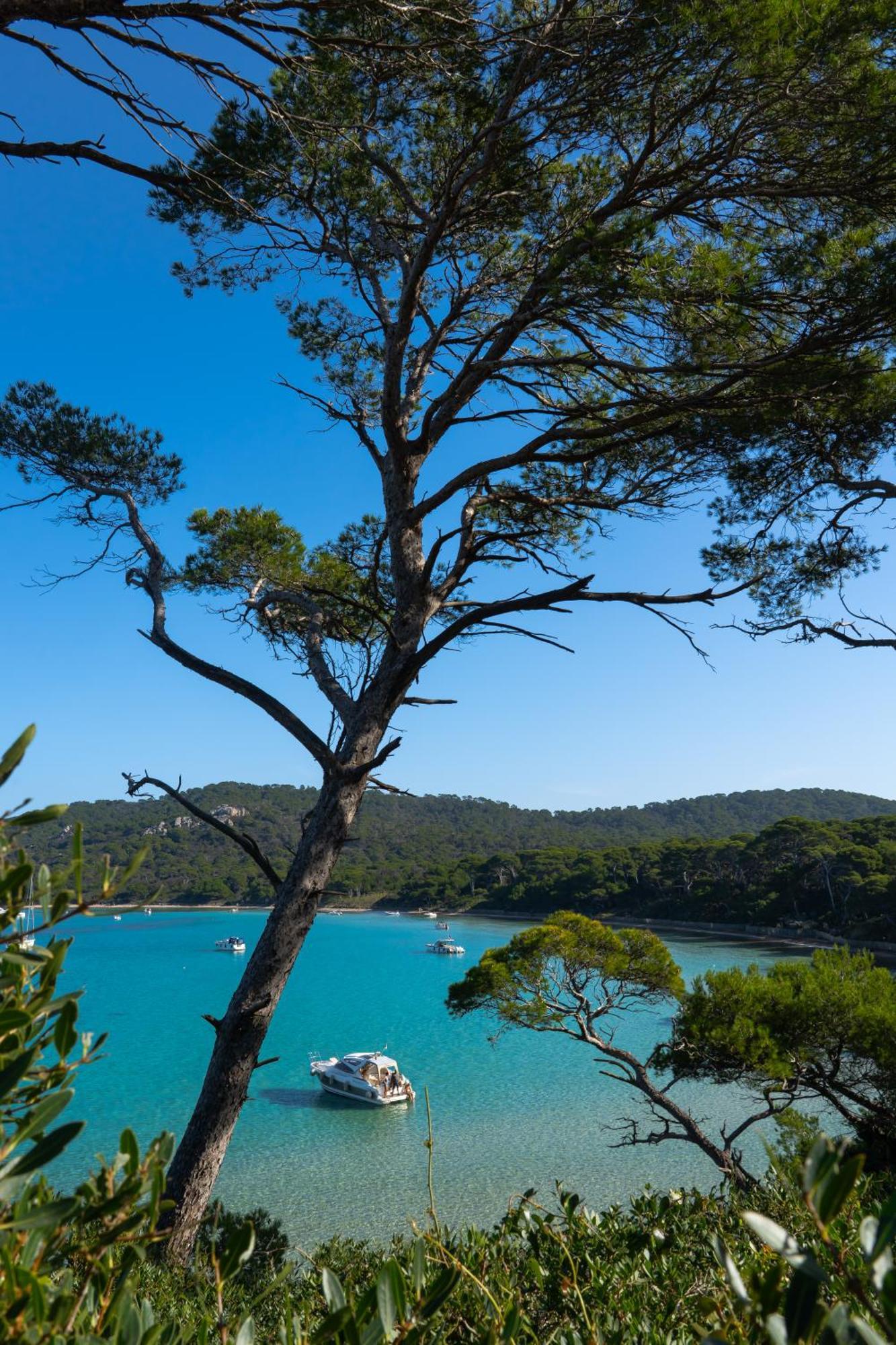 Villa La Provence Hyères Екстериор снимка
